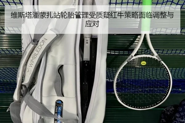 维斯塔潘蒙扎站轮胎管理受质疑红牛策略面临调整与应对